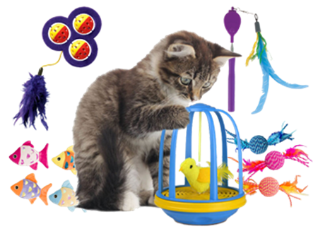 Picture for category Cat Toys