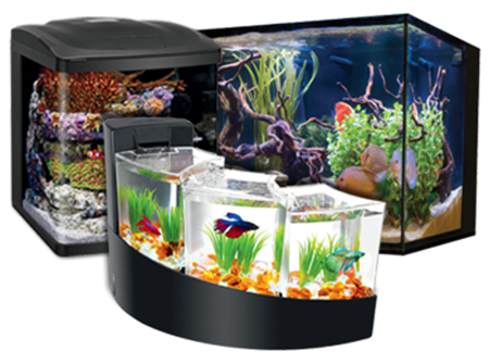 Picture for category Aquariums & Kits