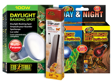 Picture for category Reptile & Amphibian Light Bulbs & Fixtures